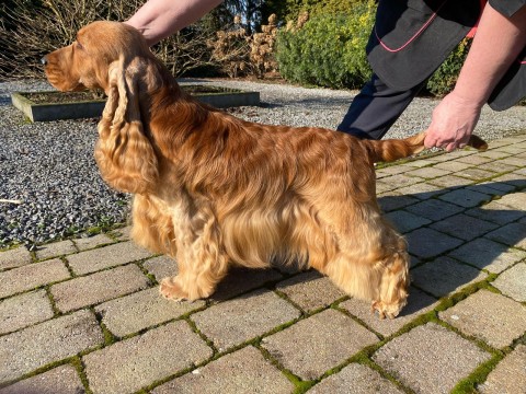 WhatsApp Image 2025 02 03 At 14.01.47 480x360